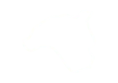 赛道